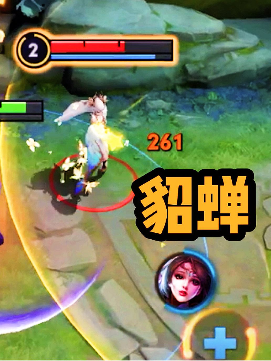 video-2110029