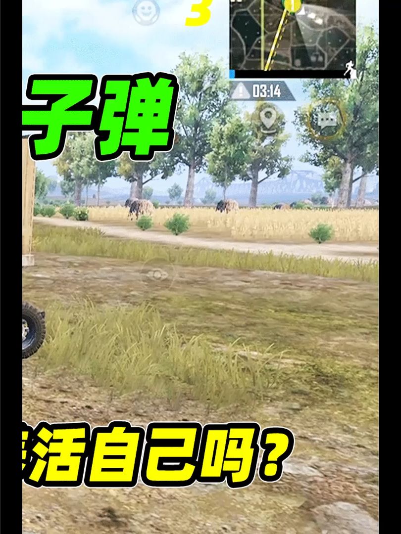 video-2124864