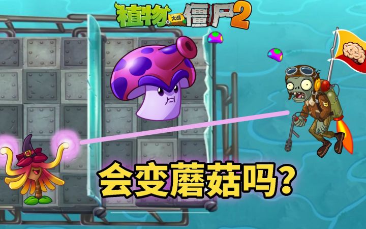 Pvz2流言终结者 金缕梅能在天空中变蘑菇吗?截图