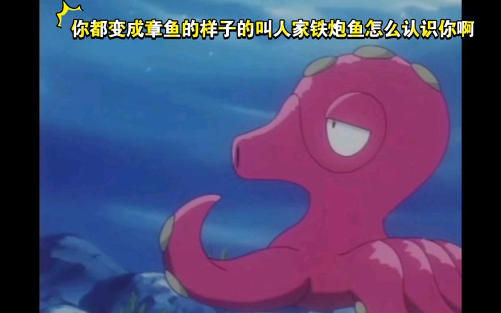 精灵宝可梦 你都变成章鱼的样子的叫人家铁炮鱼怎么认识你啊截图