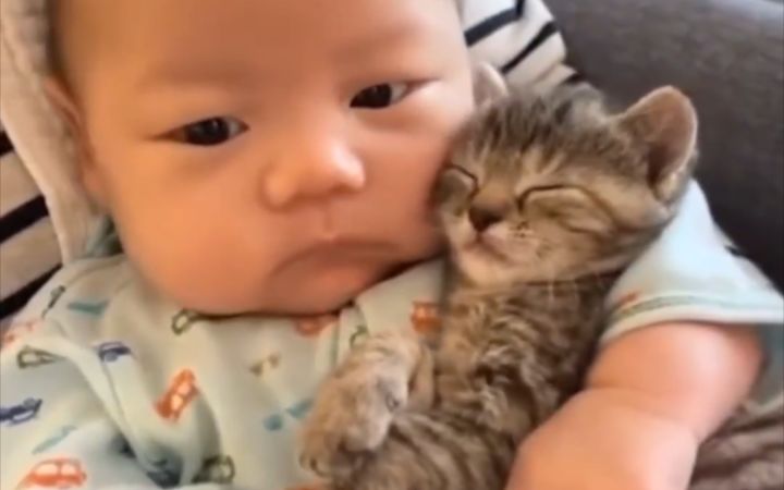 人类幼崽 VS 喵星人幼崽，谁更可爱？截图
