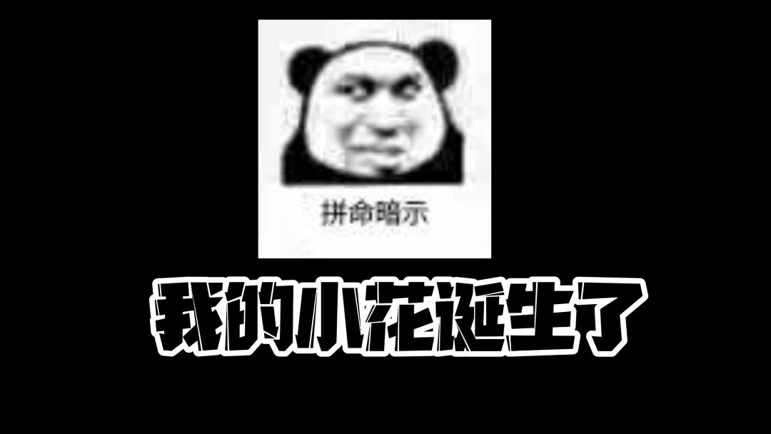 video-2486409