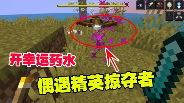我的世界匠魂14：迪哥多次打探坐标，开幸运药水，偶遇精英掠夺者截图