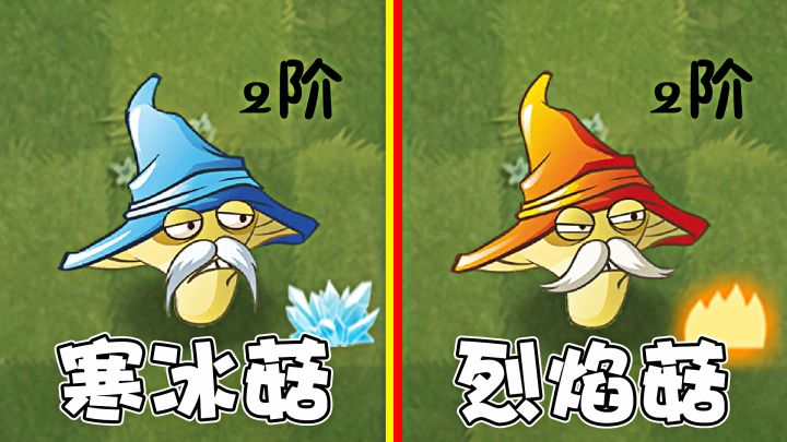 植物大战僵尸：当烈焰菇遇上寒冰菇，两者有何不同？截图