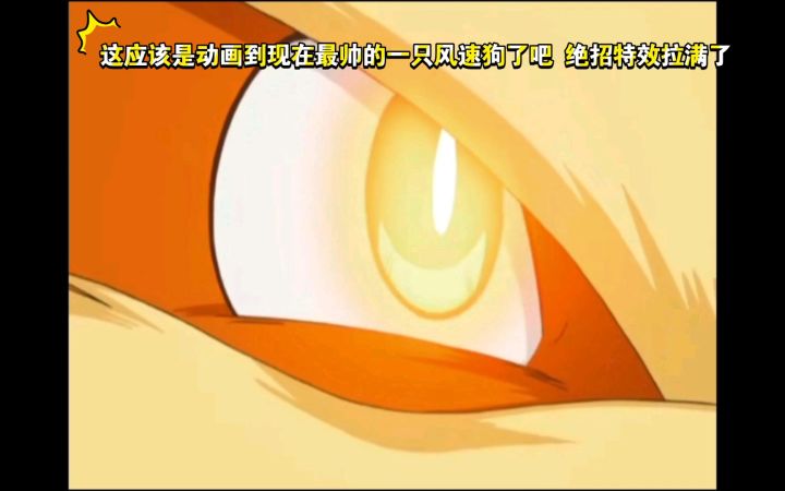 精灵宝可梦 这应该是动画到现在最帅的一只风速狗了吧 绝招特效拉满了截图