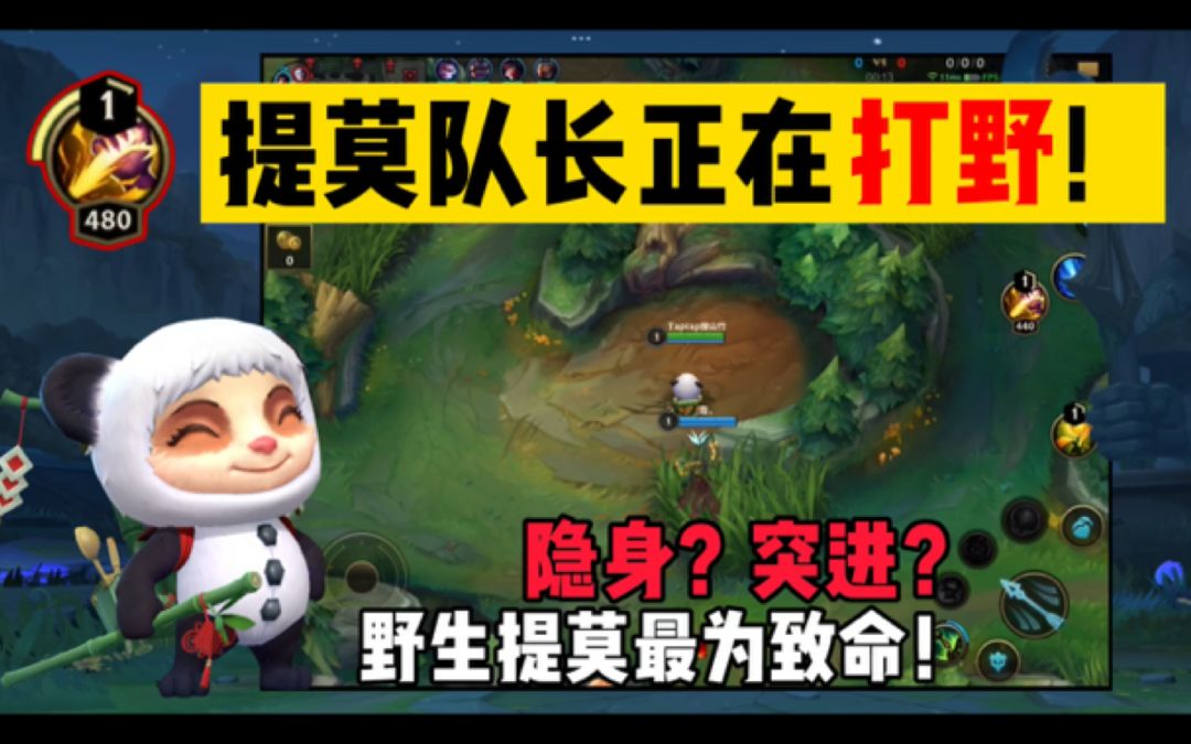 video-2214745