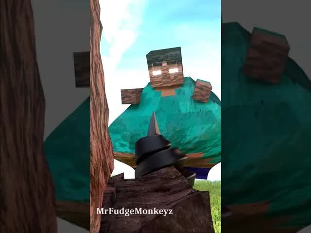 video-2962154