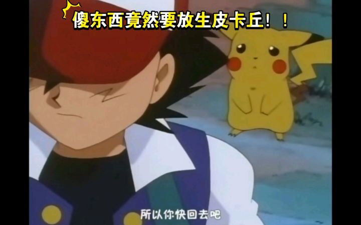 精灵宝可梦 傻东西竟然要放生皮卡丘!!!截图