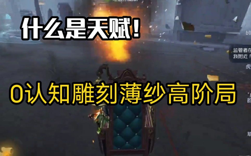 video-3205900
