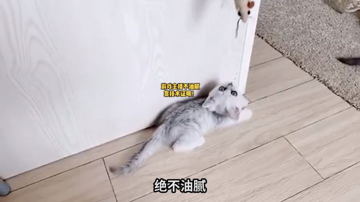 撩妹何需油腻，有技术就够了。今晚我将和赖哥@王者荣耀赖神一起用技术证明游戏主播不油腻。#游戏主播不油腻截图