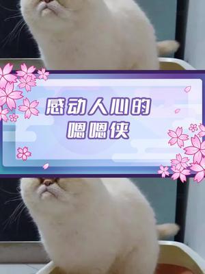 哪有那么多胜利可言，不过是有人替你嗯嗯前行 #CSGO #游戏截图