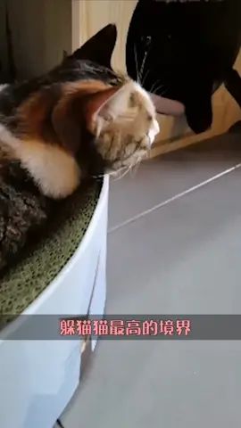 #重启世界 我的躲猫猫技巧无人能敌!!!截图