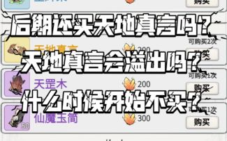 【一念逍遥】后期还买不买天地真言？真言会溢出吗？