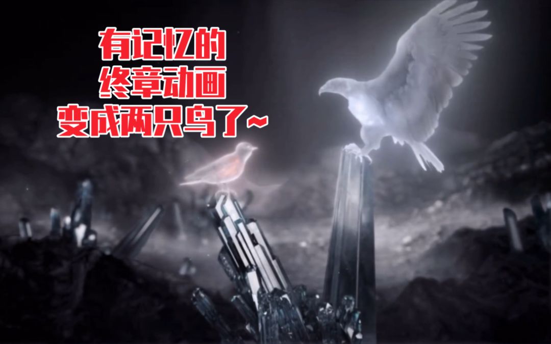 video-3442159