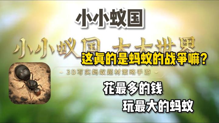 《小小蚁国》—— buff叠满,地下战争,这真的是你觉得的蚂蚁战争吗?截图