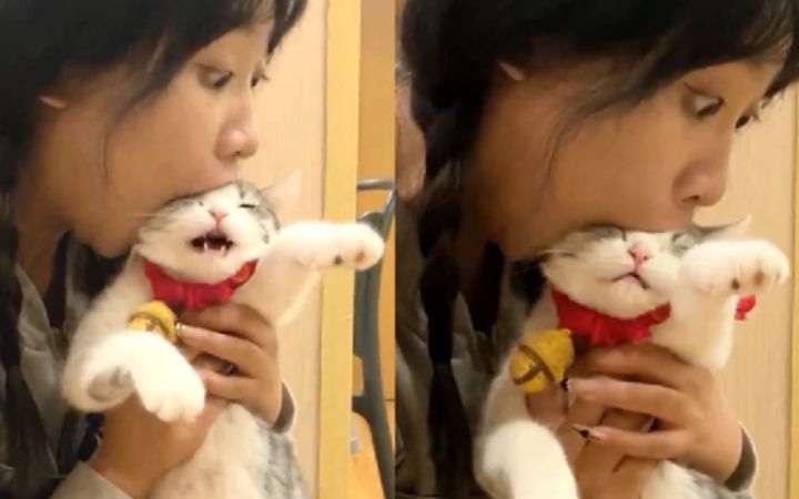 “妹子,猫不是这么吃的!”截图