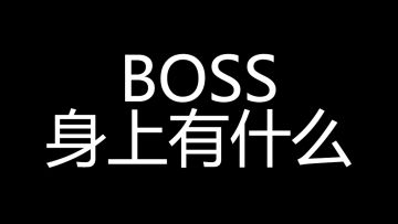 三国战纪的BOSS身上都能撞出什么东西？
