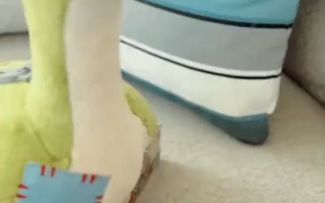 重生《Apex英雄》小海怪布偶（补丁Ver.）“宣传片”