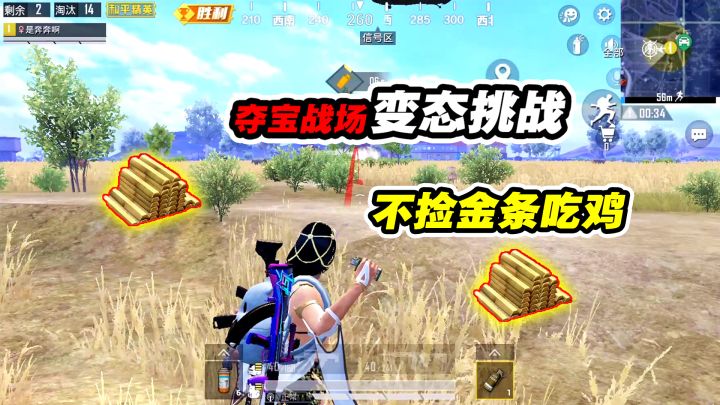 奔奔:挑战夺宝战场不捡金条!从拿枪到灭队,每个细节都在里面了截图