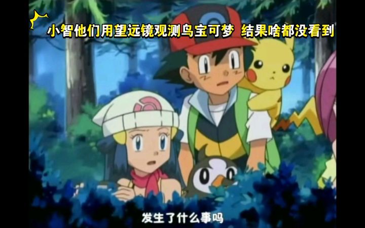 精灵宝可梦 小智他们用望远镜观测鸟宝可梦 结果啥都没看到截图