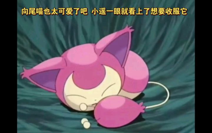 精灵宝可梦 向尾喵也太可爱了吧 小遥一眼就看上了想要收服它截图