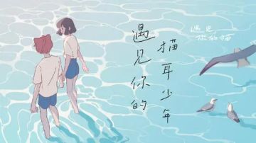 2分钟了解“遇见你的猫”