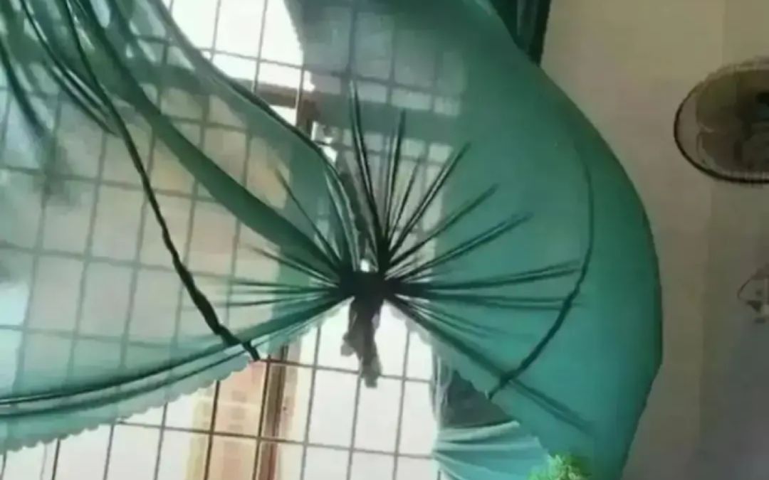 video-2633032
