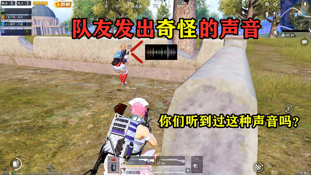 video-2163792