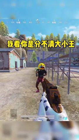 video-2128427