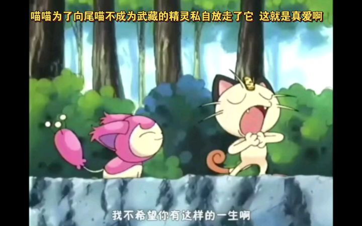 精灵宝可梦 喵喵为了向尾喵不成为武藏的精灵私自放走了它 这就是真爱啊截图