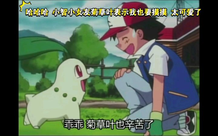 精灵宝可梦 哈哈哈 小智小女友菊草叶表示我也要摸摸 太可爱了截图