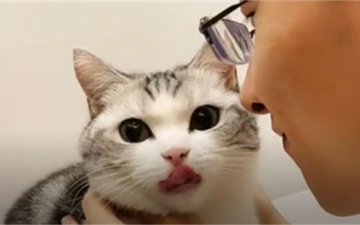 “女人,你拿什么和我比!”截图