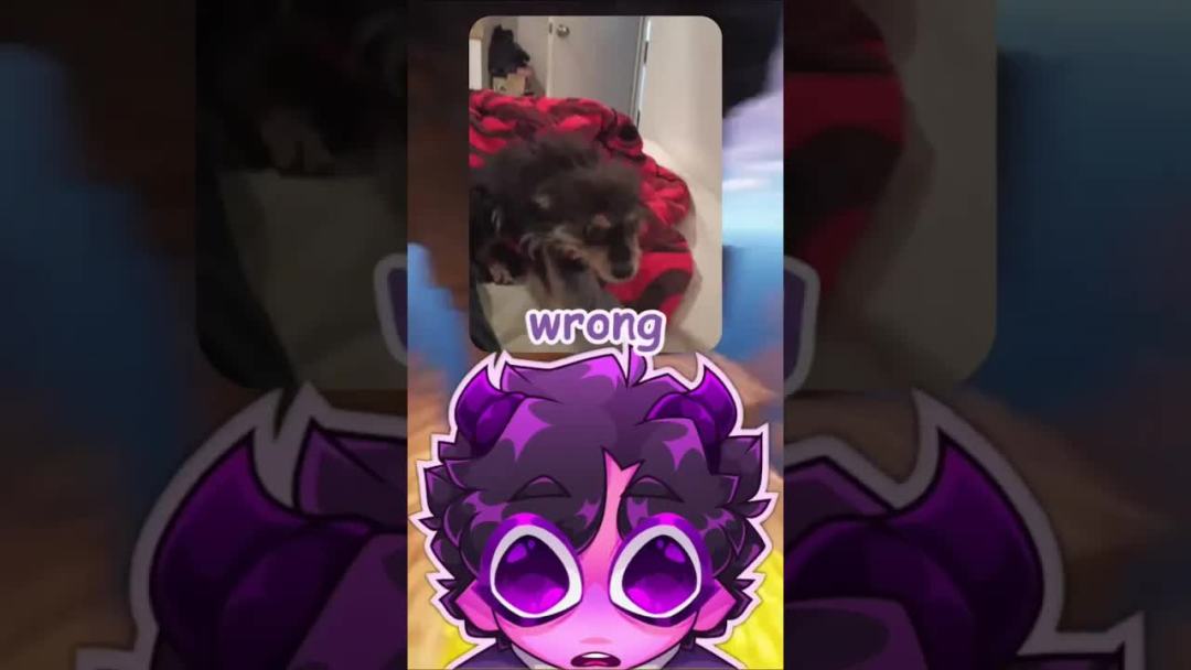 video-3030560