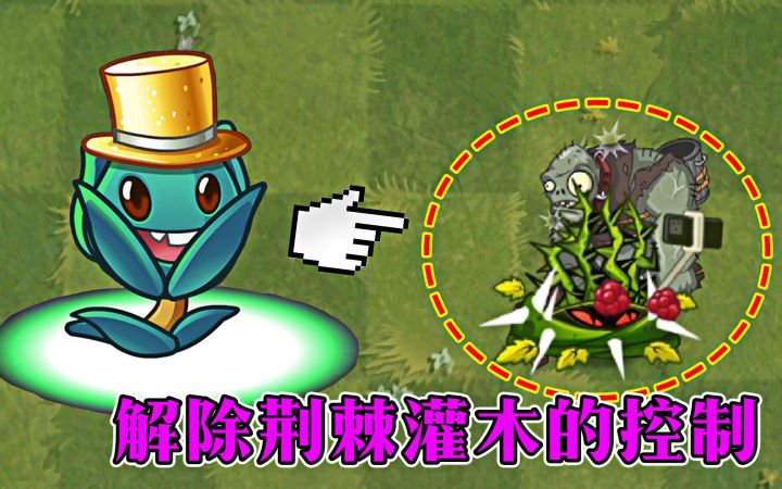 植物大战僵尸：如何解除荆棘灌木的控制？截图