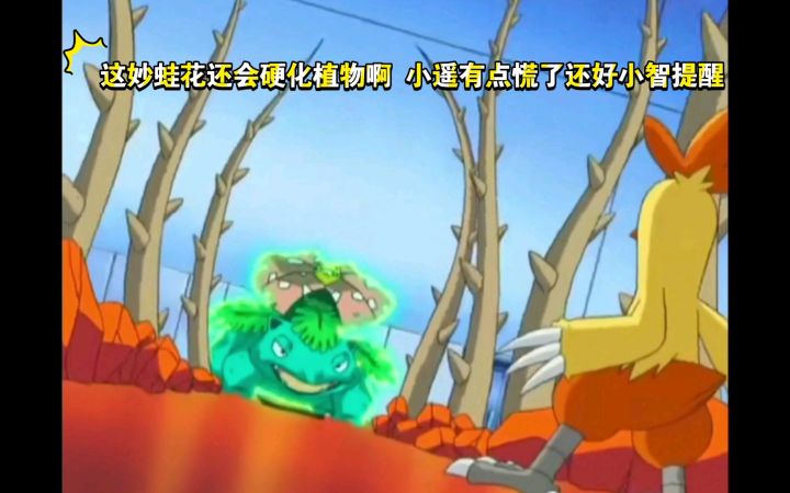 精灵宝可梦 这妙蛙花还会硬化植物啊 小遥有点慌了还好小智提醒截图