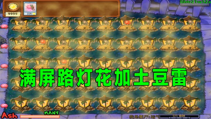 植物大战僵尸:四九阳光挑战满屏路灯花加土豆雷截图