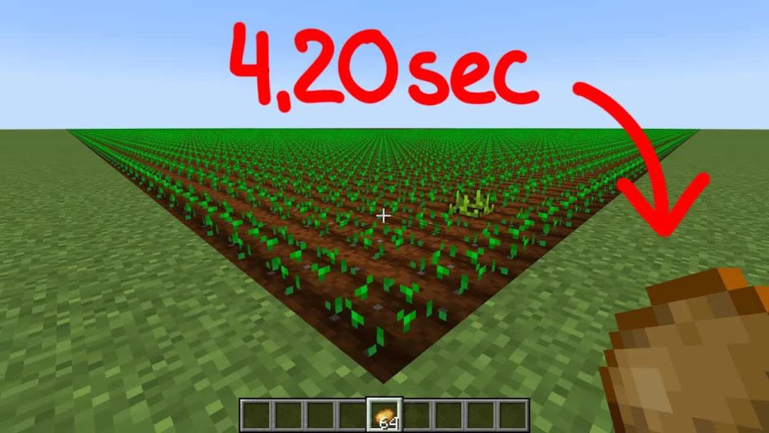 video-2986422