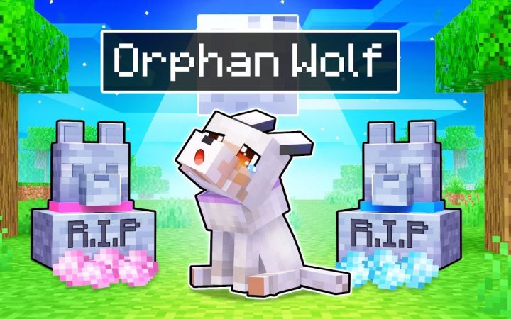 【Aphmau】我的世界|可怜的小狼孤儿Aphmau Is An ORPHAN WOLF In Minecraft!截图