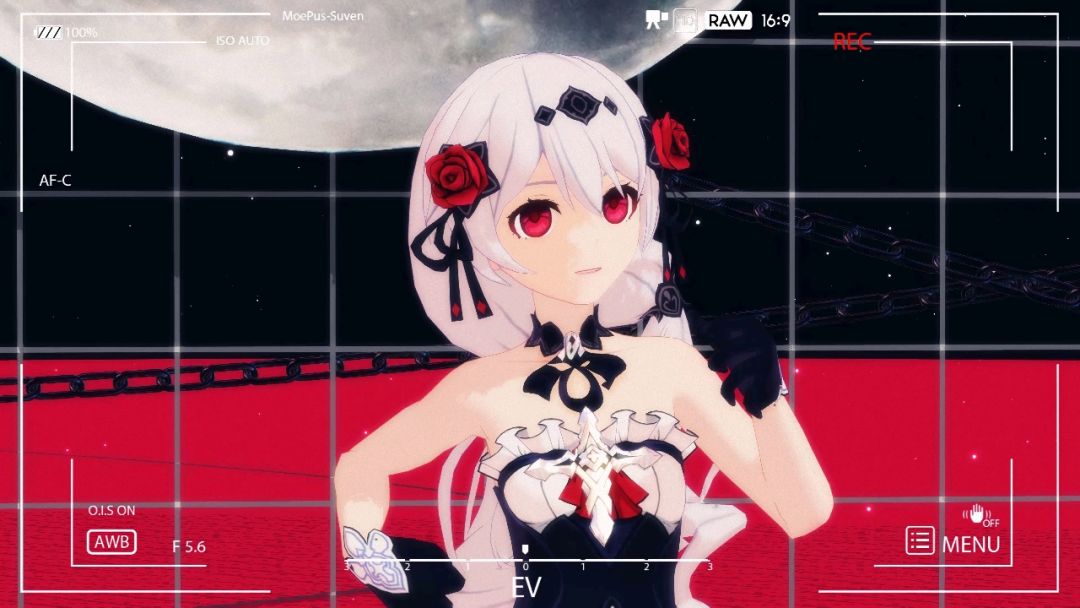 video-3079947