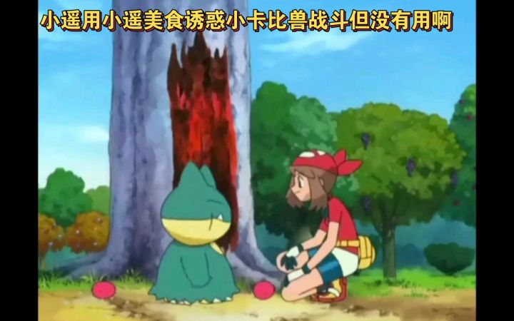 精灵宝可梦 小遥用小遥美食诱惑小卡比兽战斗但没有用啊截图