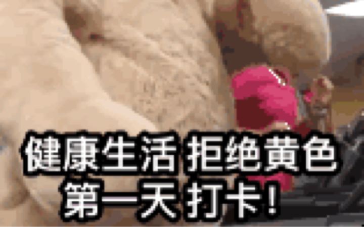 白雪风神步教学截图