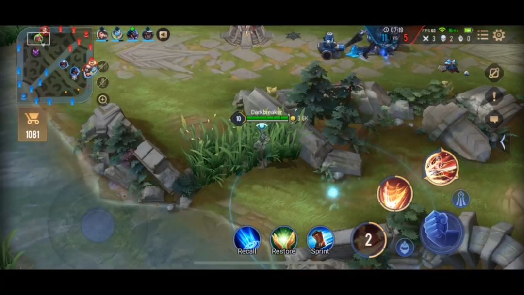 video-3040466