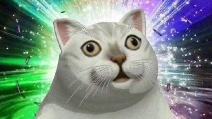 好家伙，我直接好家伙截图