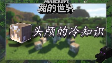 盘点几个我的世界关于头颅的冷知识