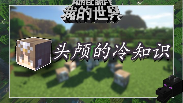 盘点几个我的世界关于头颅的冷知识截图