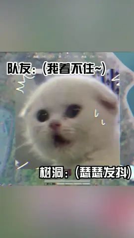 果然，“兄弟”更激动一点截图