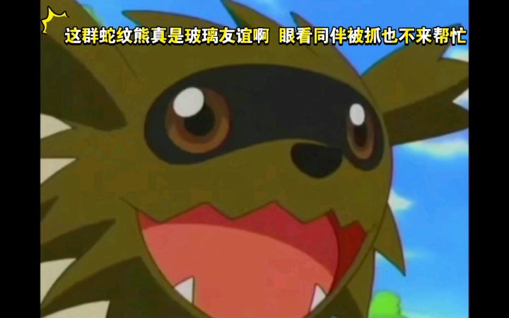 精灵宝可梦 这群蛇纹熊真是玻璃友谊啊 眼看同伴被抓也不来帮忙截图