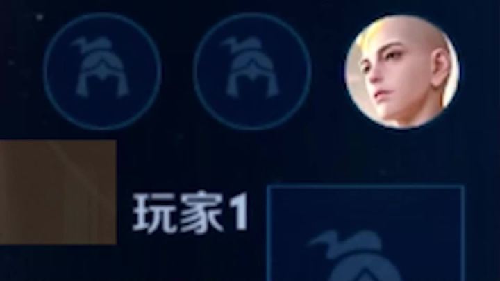 叶哥的花木兰要是上国服了，一定是你们害的#王者荣耀树叶 #王者荣耀截图