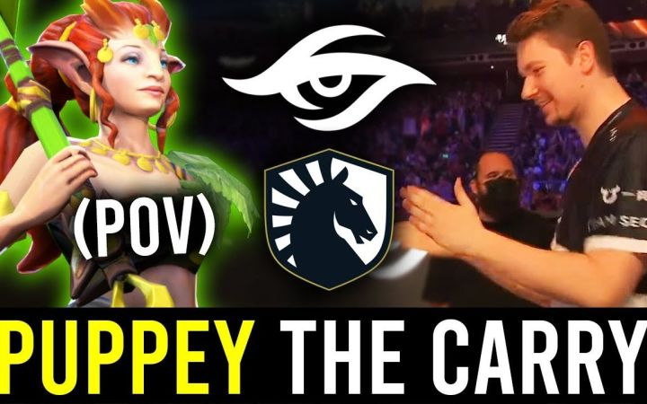 十分钟欣赏Secret.Puppey辅助小鹿如何暴力输出 vs LIQUID【DOTA2】截图