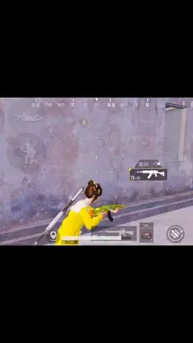 video-2115495